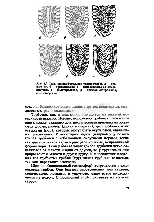 C. Вассер - Съедобные и ядовитые грибы Карпат. Справочник - Страница № 21