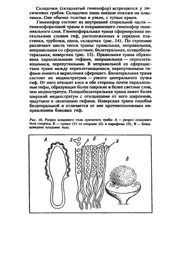 C. Вассер - Съедобные и ядовитые грибы Карпат. Справочник - Страница № 22