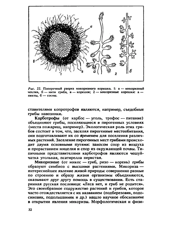 C. Вассер - Съедобные и ядовитые грибы Карпат. Справочник - Страница № 32