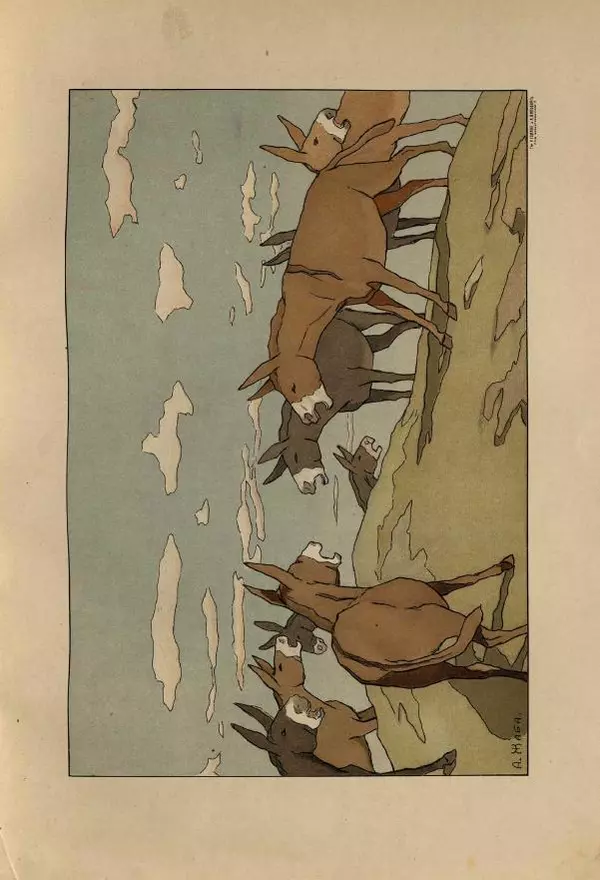 Иван Крылов - Басни И.А.Крылова - Страница № 41