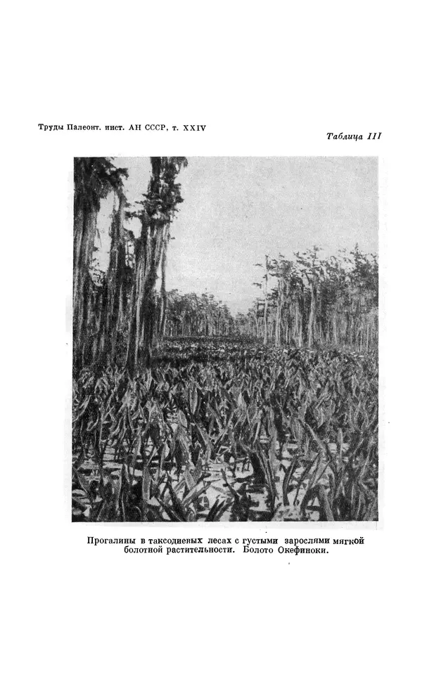 Иван Ефремов - Тафономия и геологическая летопись. Книга 1. Захоронение наземных фаун в палеозое - Страница № 175
