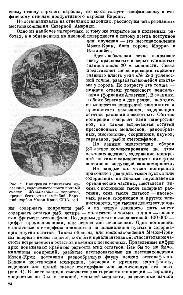 Иван Ефремов - Тафономия и геологическая летопись. Книга 1. Захоронение наземных фаун в палеозое - Страница № 24
