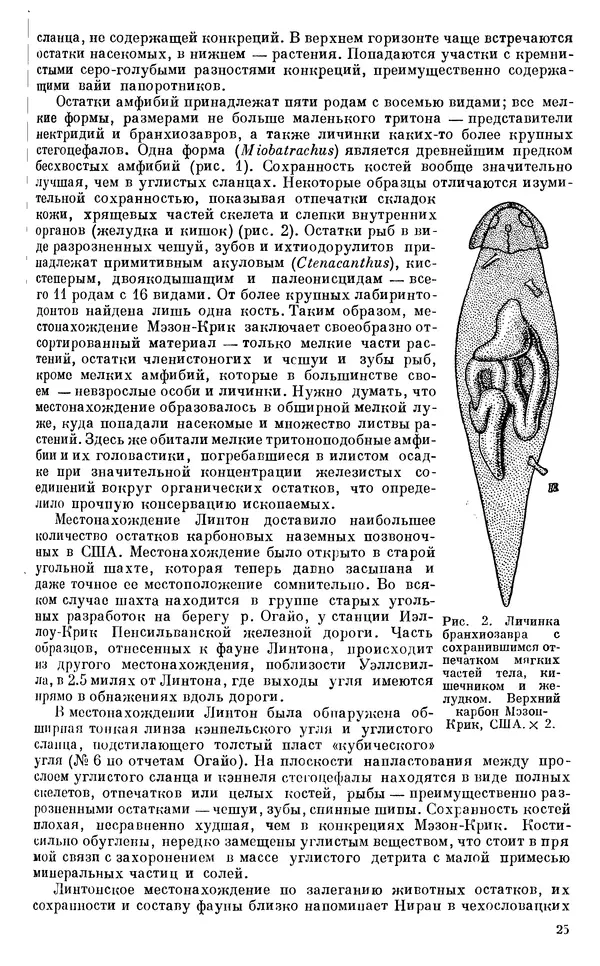 Иван Ефремов - Тафономия и геологическая летопись. Книга 1. Захоронение наземных фаун в палеозое - Страница № 25