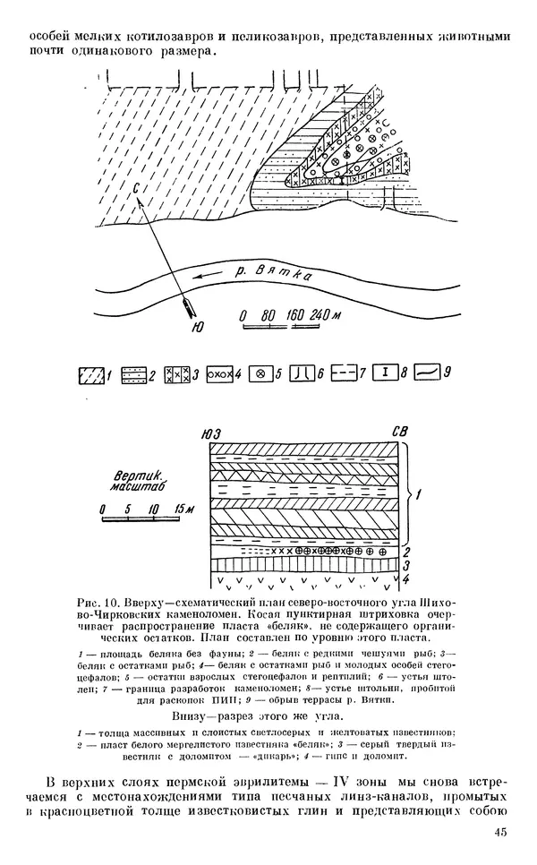 Иван Ефремов - Тафономия и геологическая летопись. Книга 1. Захоронение наземных фаун в палеозое - Страница № 45