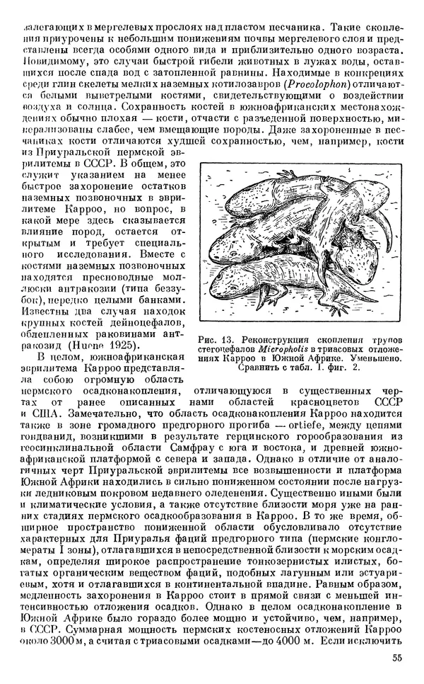 Иван Ефремов - Тафономия и геологическая летопись. Книга 1. Захоронение наземных фаун в палеозое - Страница № 55