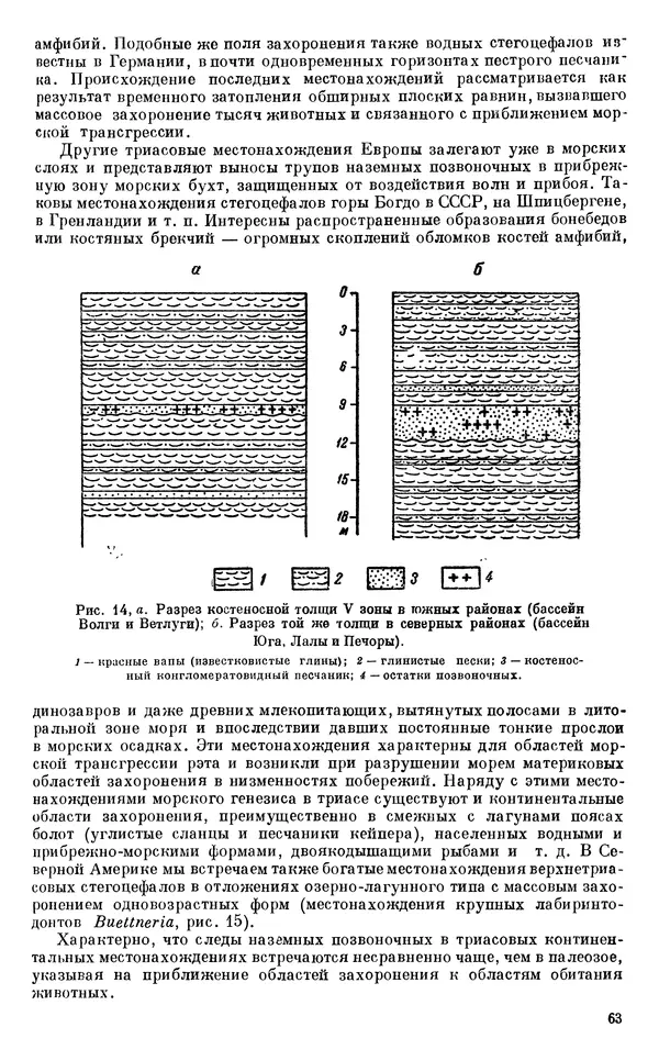 Иван Ефремов - Тафономия и геологическая летопись. Книга 1. Захоронение наземных фаун в палеозое - Страница № 63