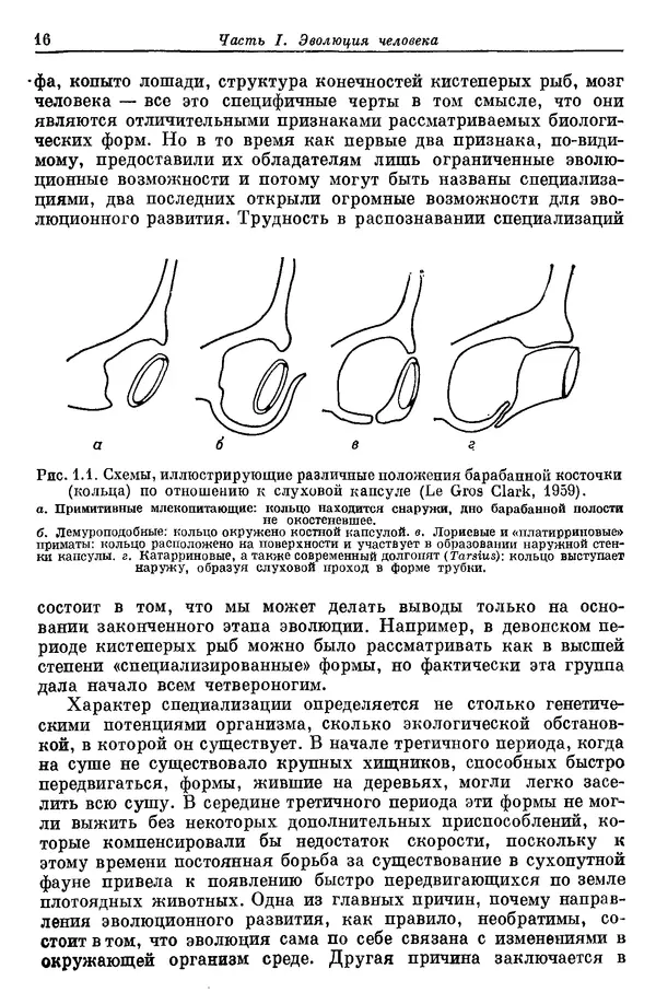 Дж. Харрисон - Биология человека - Страница № 16