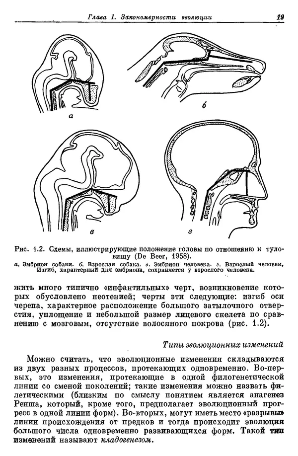 Дж. Харрисон - Биология человека - Страница № 19