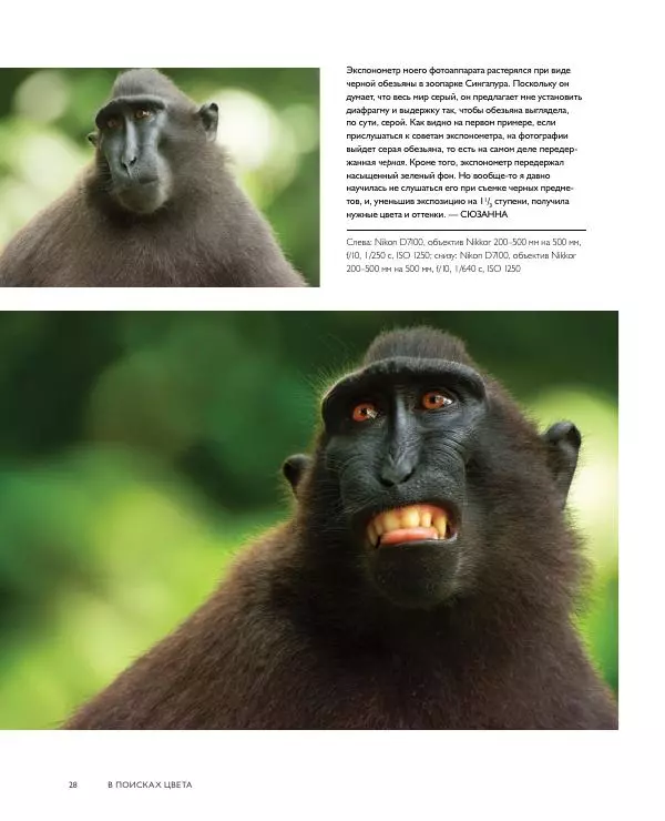 Брайан Петерсон - В поисках цвета - Страница № 28