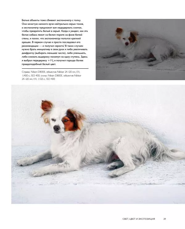 Брайан Петерсон - В поисках цвета - Страница № 29