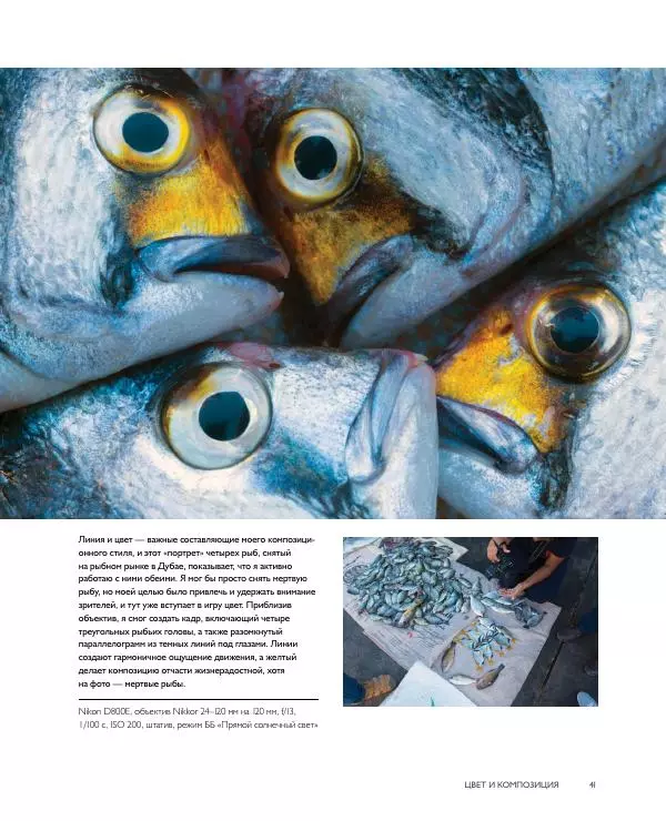 Брайан Петерсон - В поисках цвета - Страница № 41