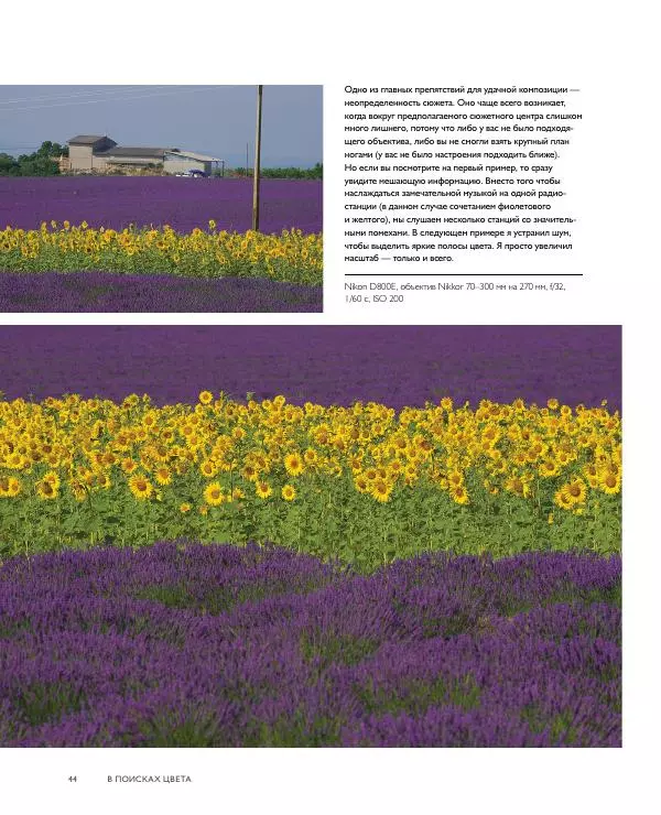 Брайан Петерсон - В поисках цвета - Страница № 44