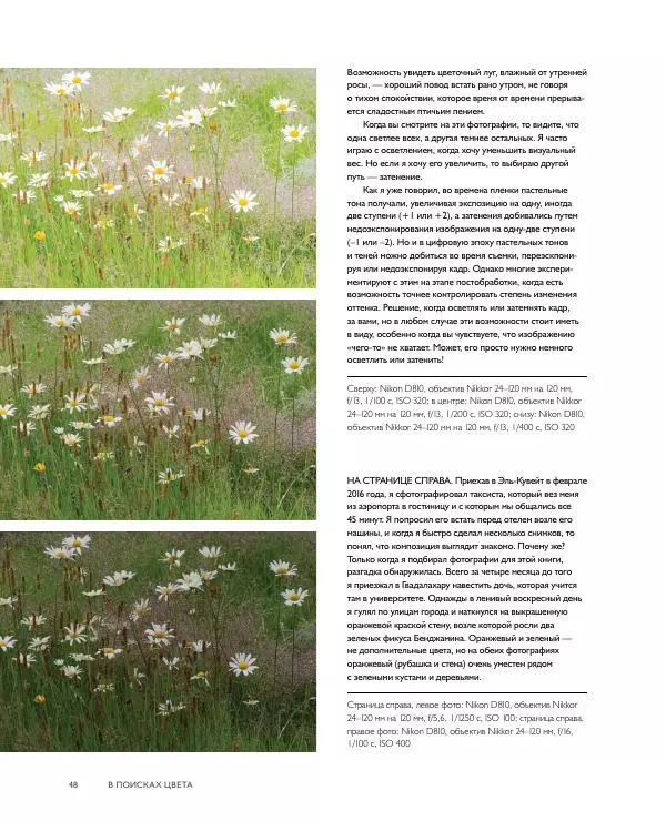 Брайан Петерсон - В поисках цвета - Страница № 48