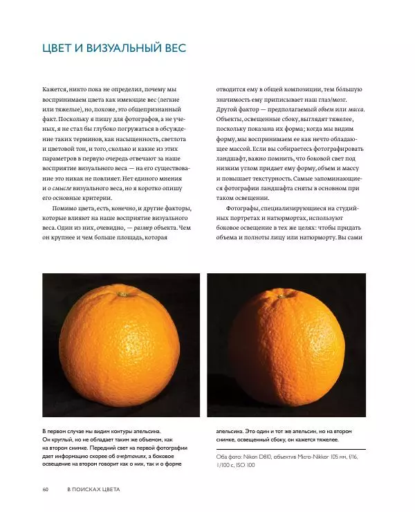 Брайан Петерсон - В поисках цвета - Страница № 60