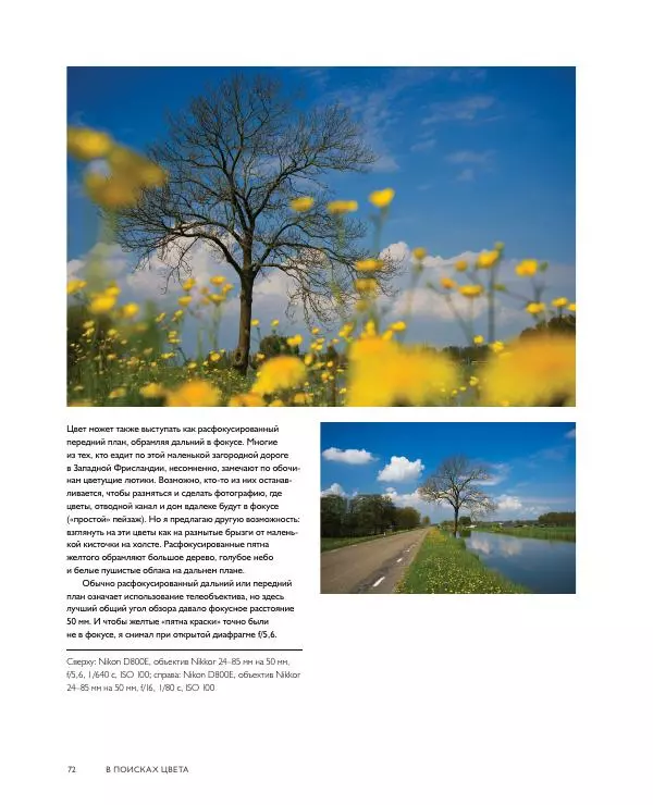 Брайан Петерсон - В поисках цвета - Страница № 72