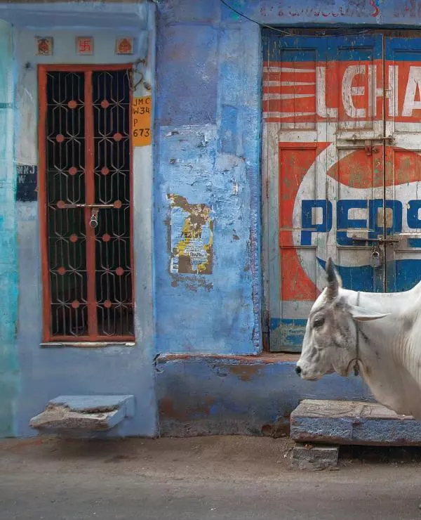 Брайан Петерсон - В поисках цвета - Страница № 80
