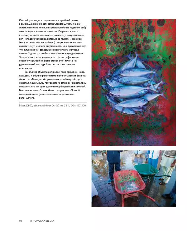Брайан Петерсон - В поисках цвета - Страница № 88