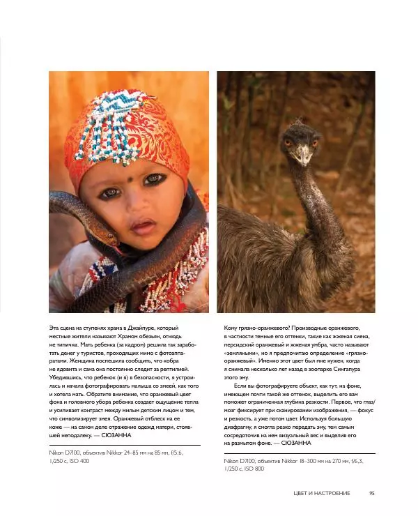 Брайан Петерсон - В поисках цвета - Страница № 95