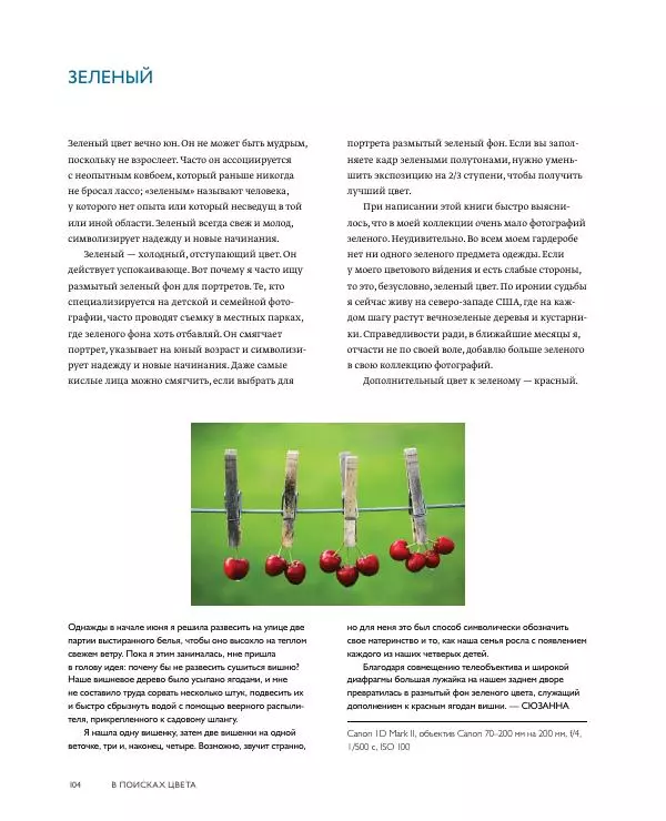 Брайан Петерсон - В поисках цвета - Страница № 104