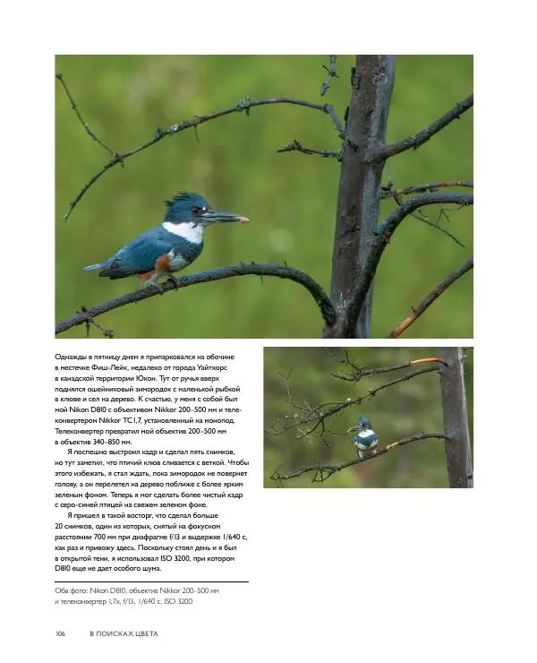 Брайан Петерсон - В поисках цвета - Страница № 106