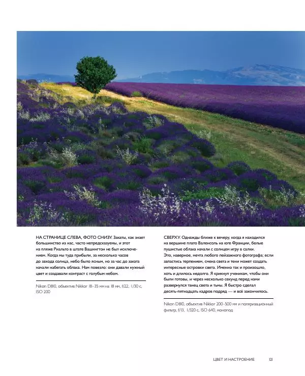 Брайан Петерсон - В поисках цвета - Страница № 121