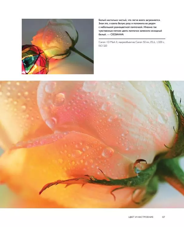 Брайан Петерсон - В поисках цвета - Страница № 127