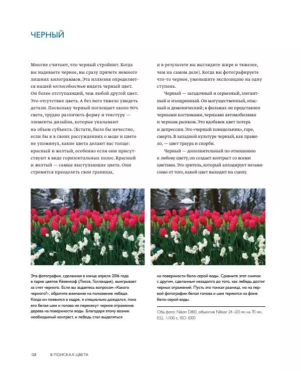 Брайан Петерсон - В поисках цвета - Страница № 128