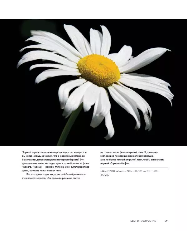 Брайан Петерсон - В поисках цвета - Страница № 129