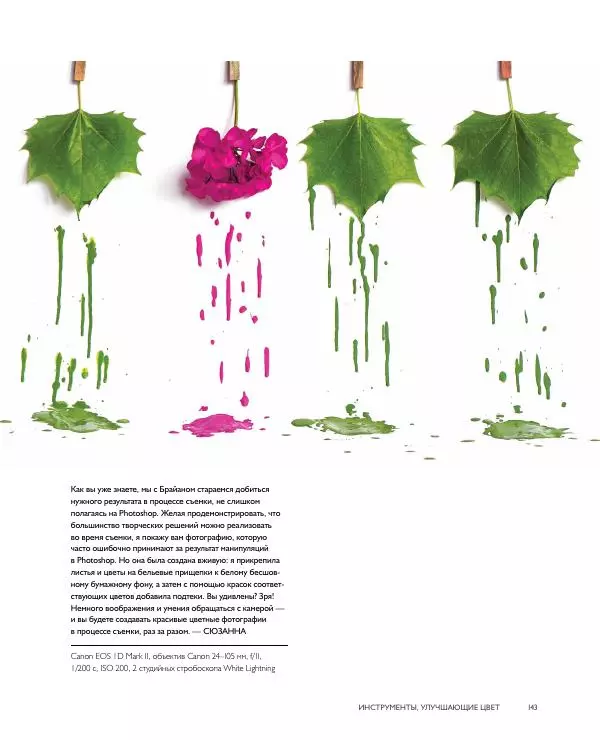 Брайан Петерсон - В поисках цвета - Страница № 143