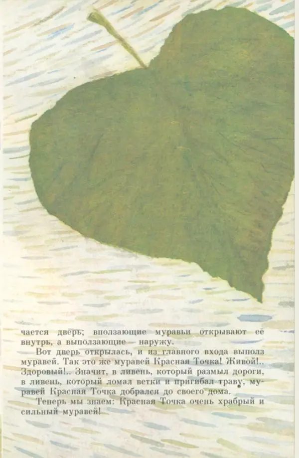 Наталья Романова - Муравей Красная Точка - Страница № 16
