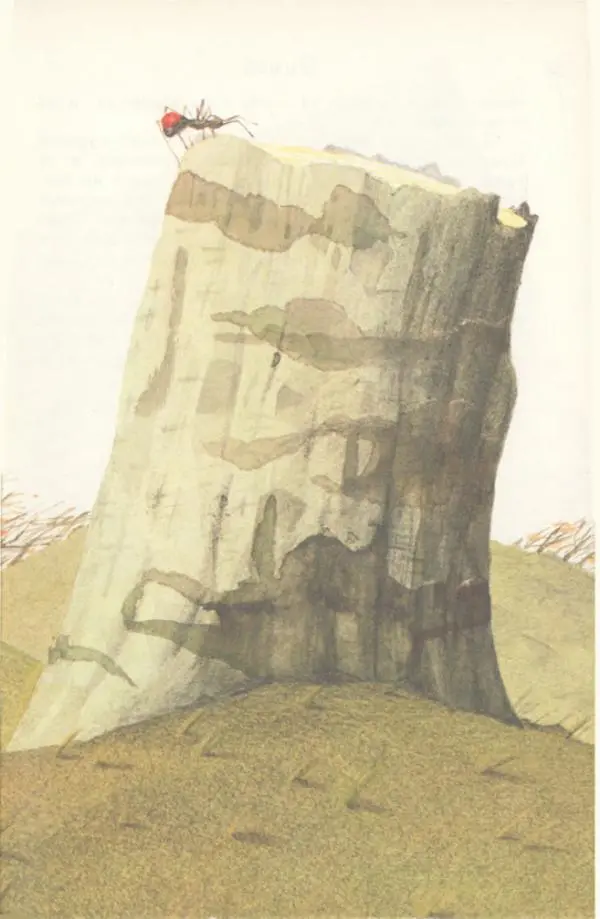 Наталья Романова - Муравей Красная Точка - Страница № 30