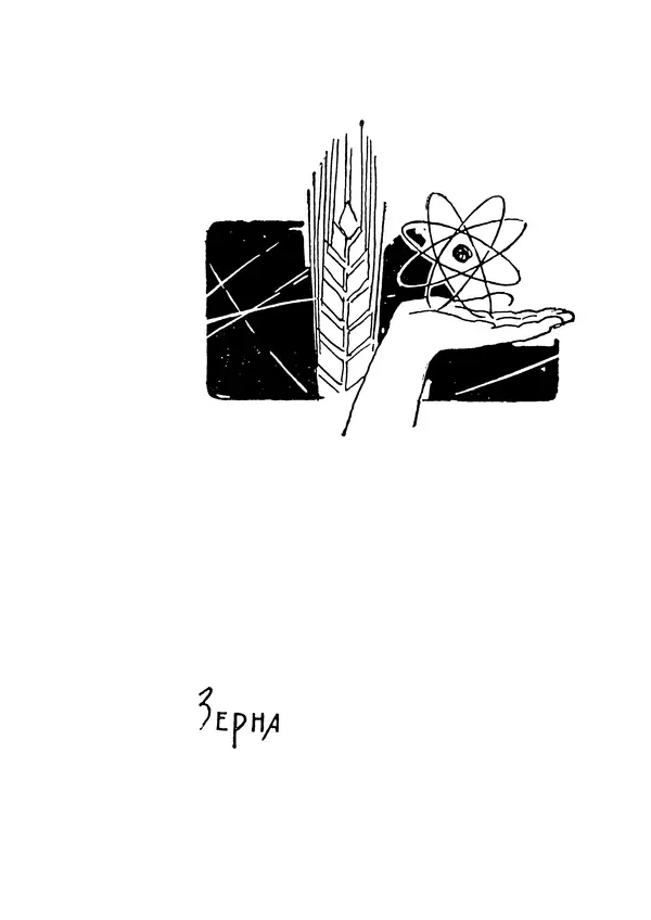 Николай Тарасенко - Синее солнце - Страница № 104