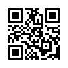 КулЛиб QR: Армия Петра I (fb2)
