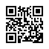 КулЛиб QR: Стрелок (fb2)