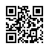 КулЛиб QR: Брусчатка (fb2)