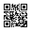 КулЛиб QR: Попытка - не шутка (fb2)