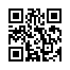 КулЛиб QR: Золото ночного Будапешта (fb2)