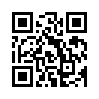 КулЛиб QR: Башмачник (fb2)