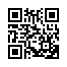 КулЛиб QR: Как подменили Петра I (fb2)