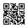 КулЛиб QR: Not serious (СИ) (fb2)
