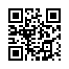 КулЛиб QR: Разноцветный кот (fb2)