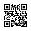 КулЛиб QR: Господин маг (fb2)
