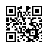 КулЛиб QR: Просто Она (fb2)