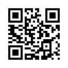 КулЛиб QR: Сталинский геймер (fb2)