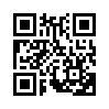 КулЛиб QR: Необычайное происшествие (fb2)