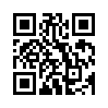 КулЛиб QR: Корпускулярная теория  (fb2)