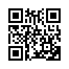 КулЛиб QR: На главном направлении (fb2)