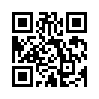 КулЛиб QR: Губернатор (ЛП) (fb2)