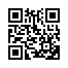 КулЛиб QR: Слово о полку (fb2)