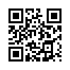 КулЛиб QR: Пароль (fb2)